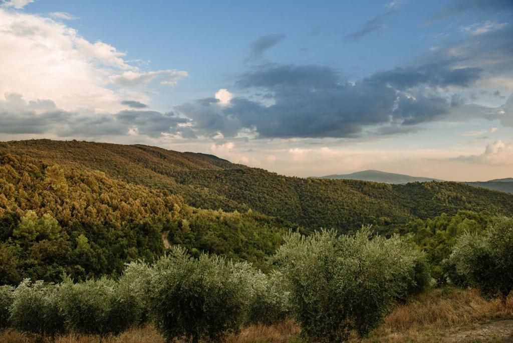 Tenuta Di Forte Sorgnano Gualdo Cattaneo 外观 照片