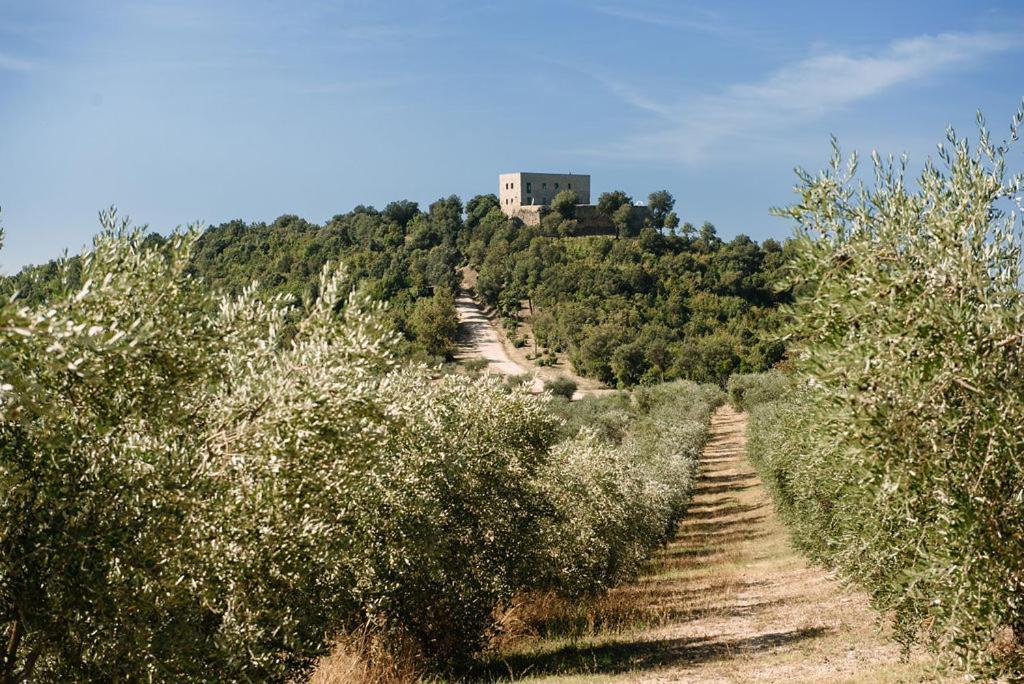Tenuta Di Forte Sorgnano Gualdo Cattaneo 外观 照片