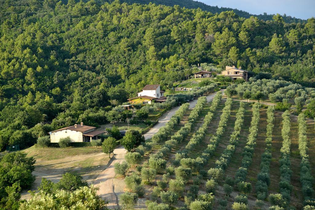 Tenuta Di Forte Sorgnano Gualdo Cattaneo 外观 照片